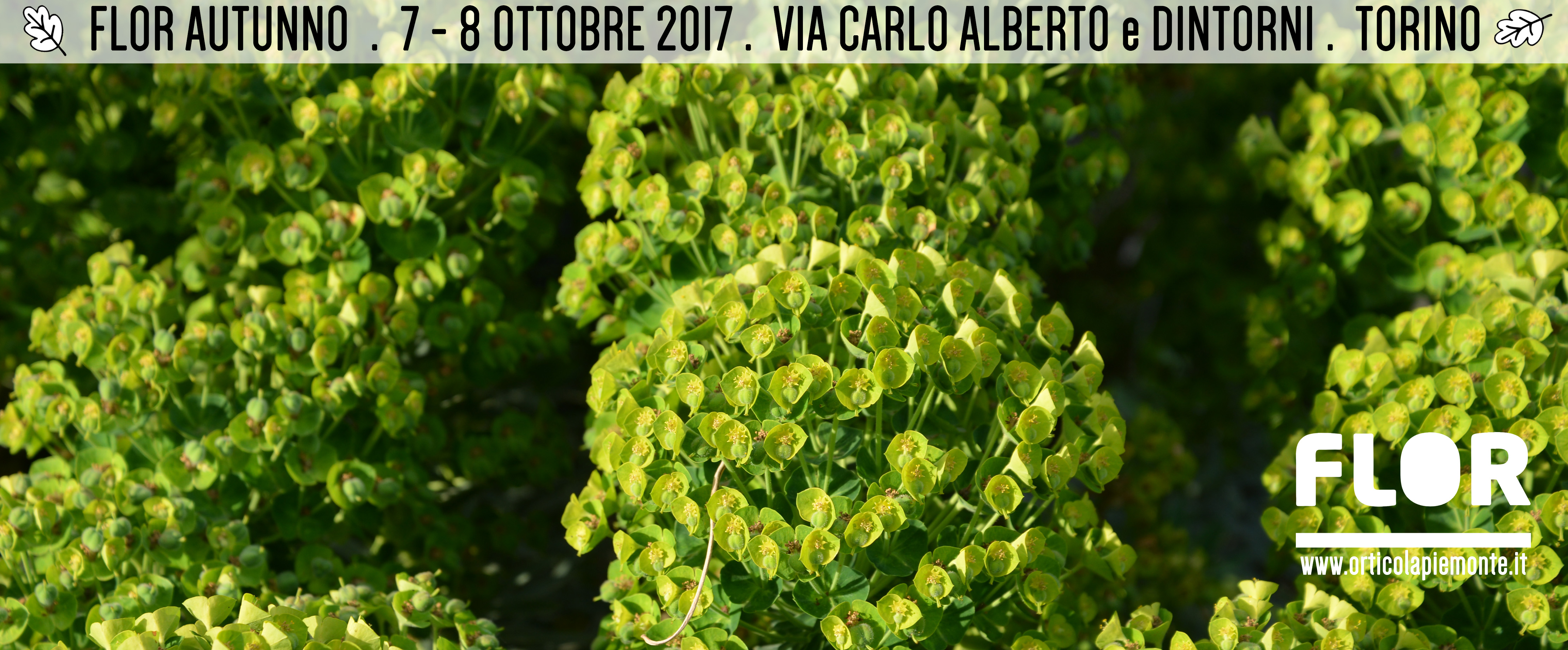 Flor autunno 2017 – 7 e 8 ottobre